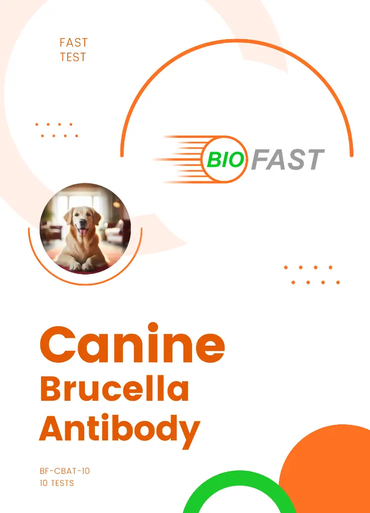 canine-brucella-test-kit.webp