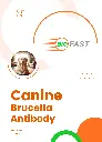 canine-brucella-test-kit.webp