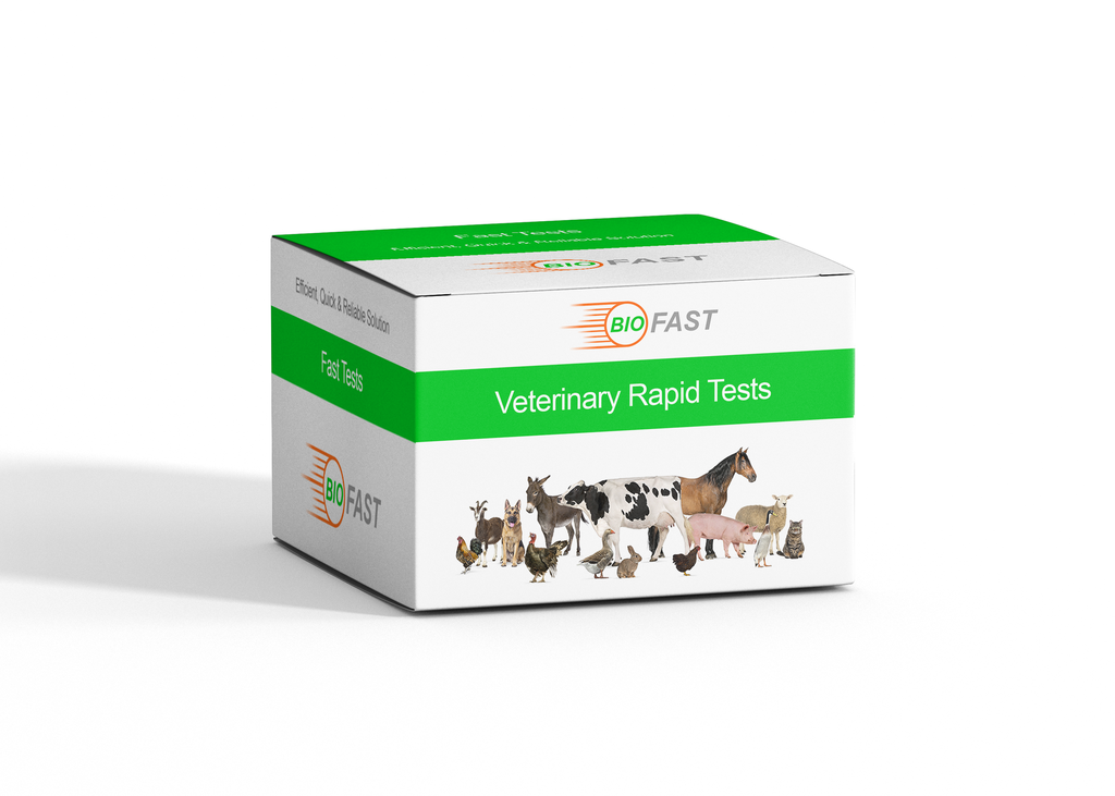 Canine Rabies Virus Antigen Rapid Test